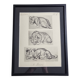 Illustrated plate, Studies of a lion cub sketch, Signed André Margat, 1930