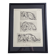 Illustrated plate, Studies of a lion cub sketch, Signed André Margat, 1930