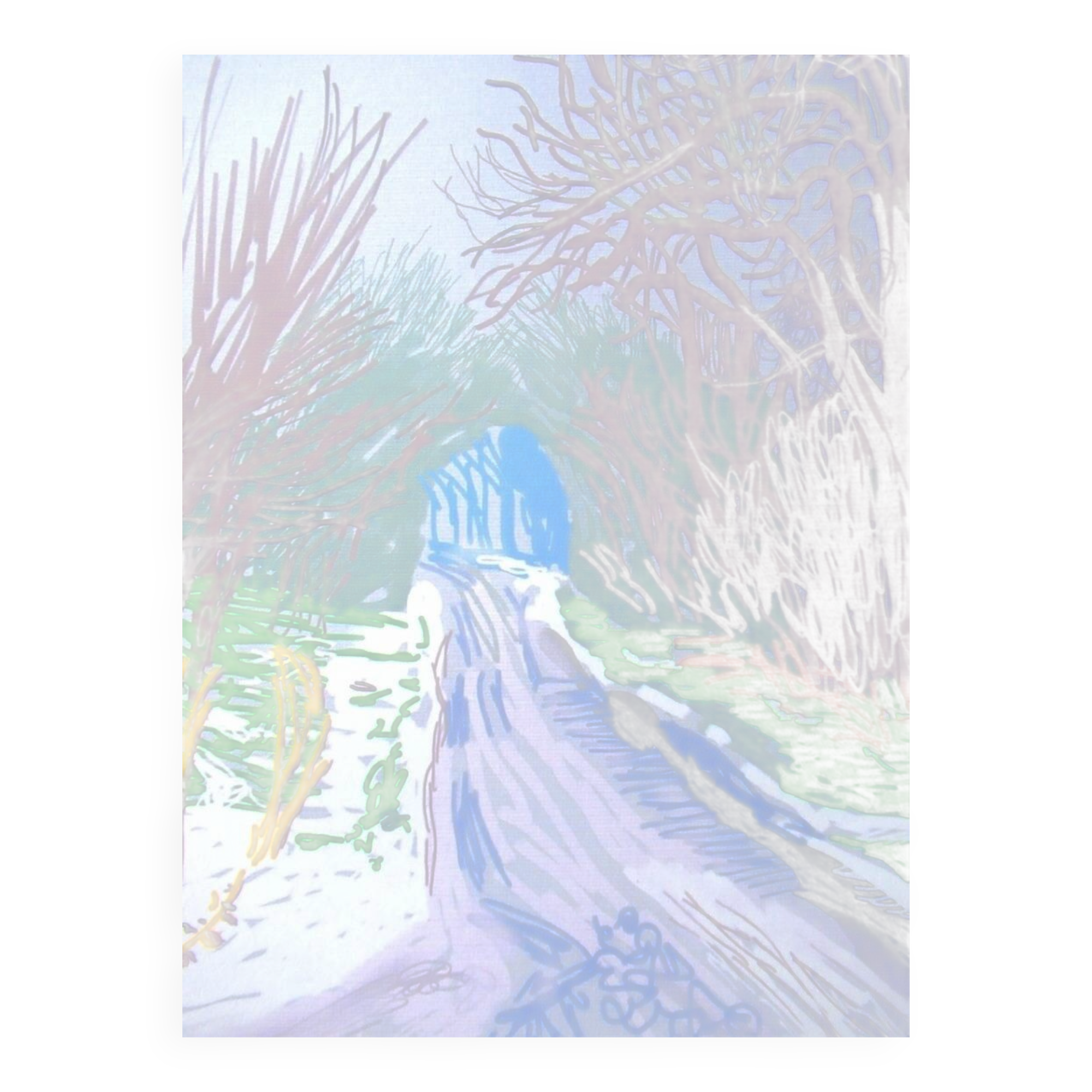 Signed numbered lithograph by David Hockney.