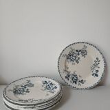 Set of 6 Terre de Fer plates, Acacia model