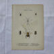 Gravure papillon ancienne planche botanique naturaliste double face