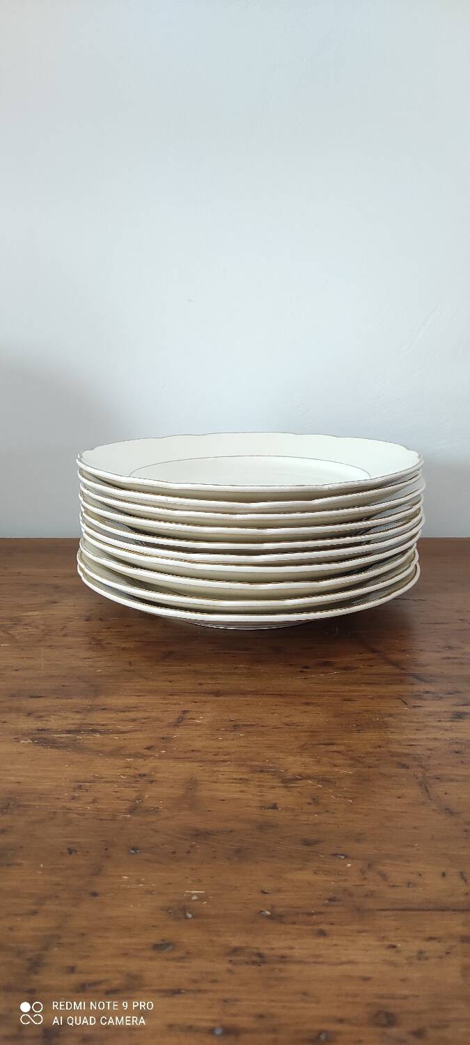 Villeroy and Boch dinner plate set