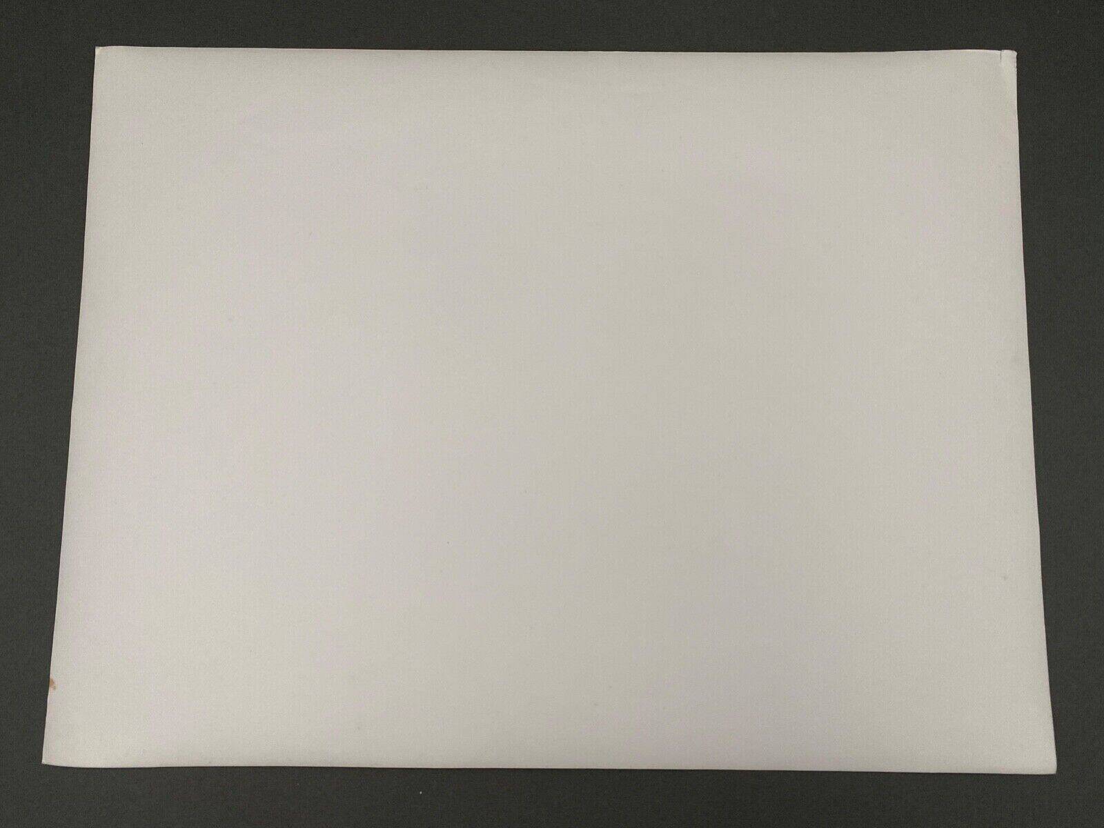 Silver gelatin photograph by Bernard Darot, Undergrowth, 20th century