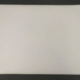 Silver gelatin photograph by Bernard Darot, Undergrowth, 20th century