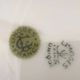 Flat plates Limoges