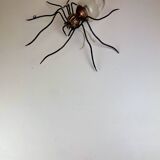 Mid-Century Spider Wall Lamp, 1960s