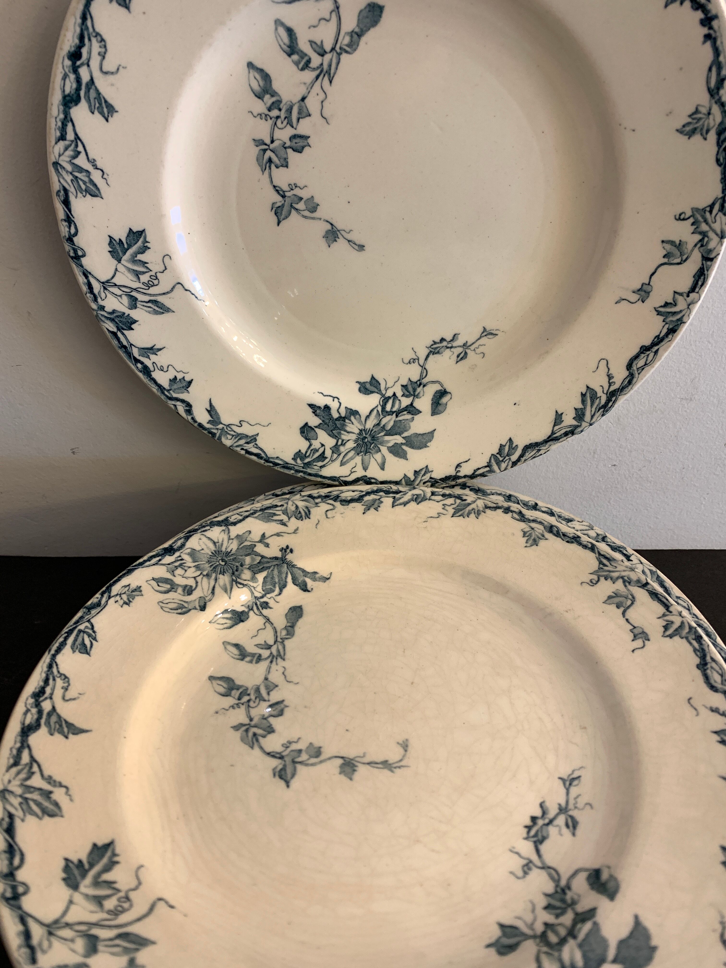 Set of 10 dessert plates KG Lunéville Passiflore model