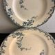 Set of 10 dessert plates KG Lunéville Passiflore model