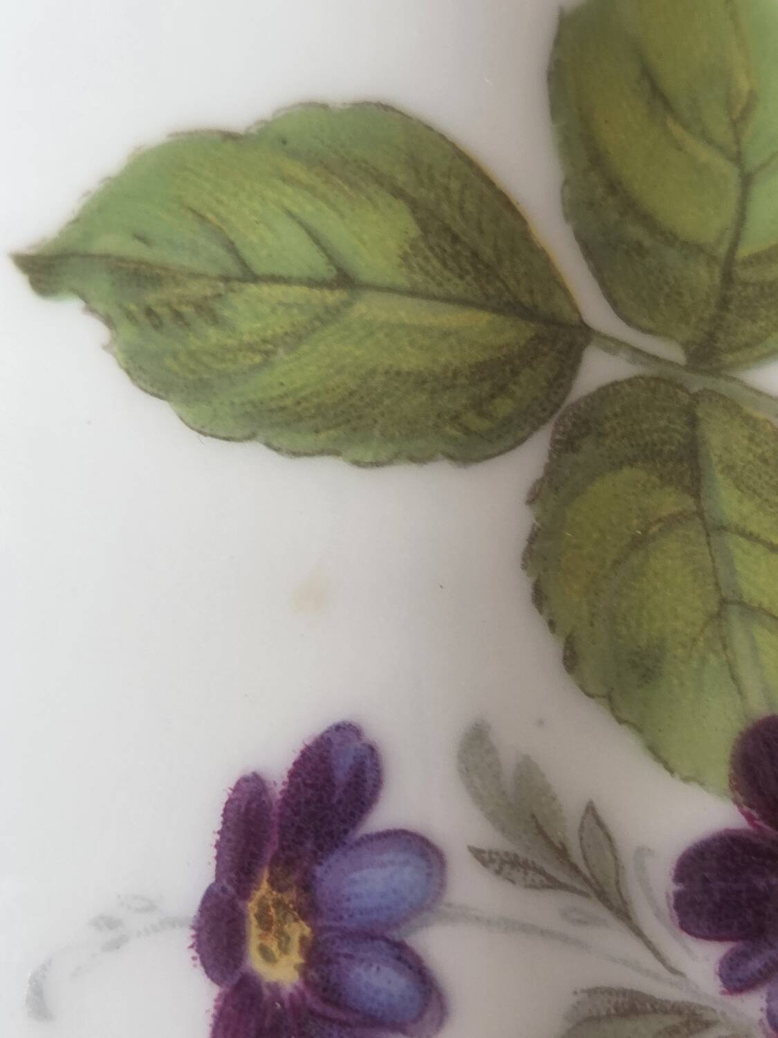 Limoges porcelain vase