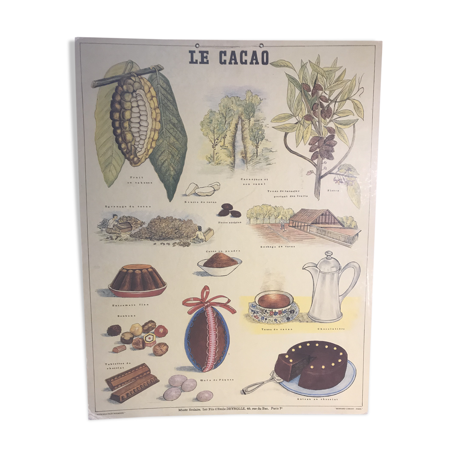 School poster by Bernard Carant - cocoa