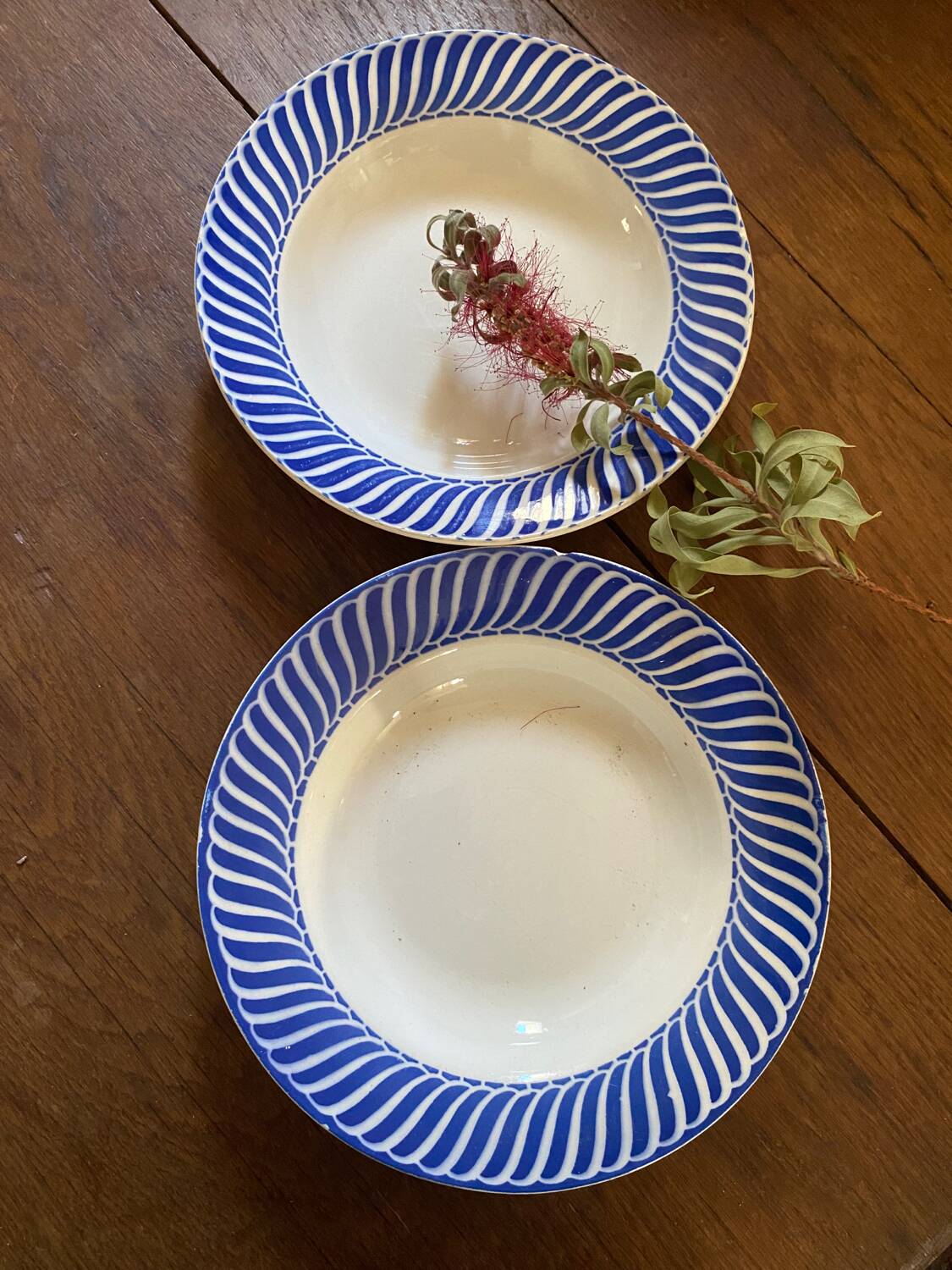 2 Jacquot Digoin Sarreguemines soup plates.