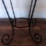 Black wrought iron support for plants