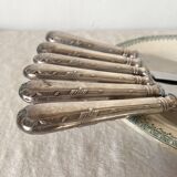 Silver round knives with stainless steel blades