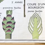 Rossignol pedagogical poster