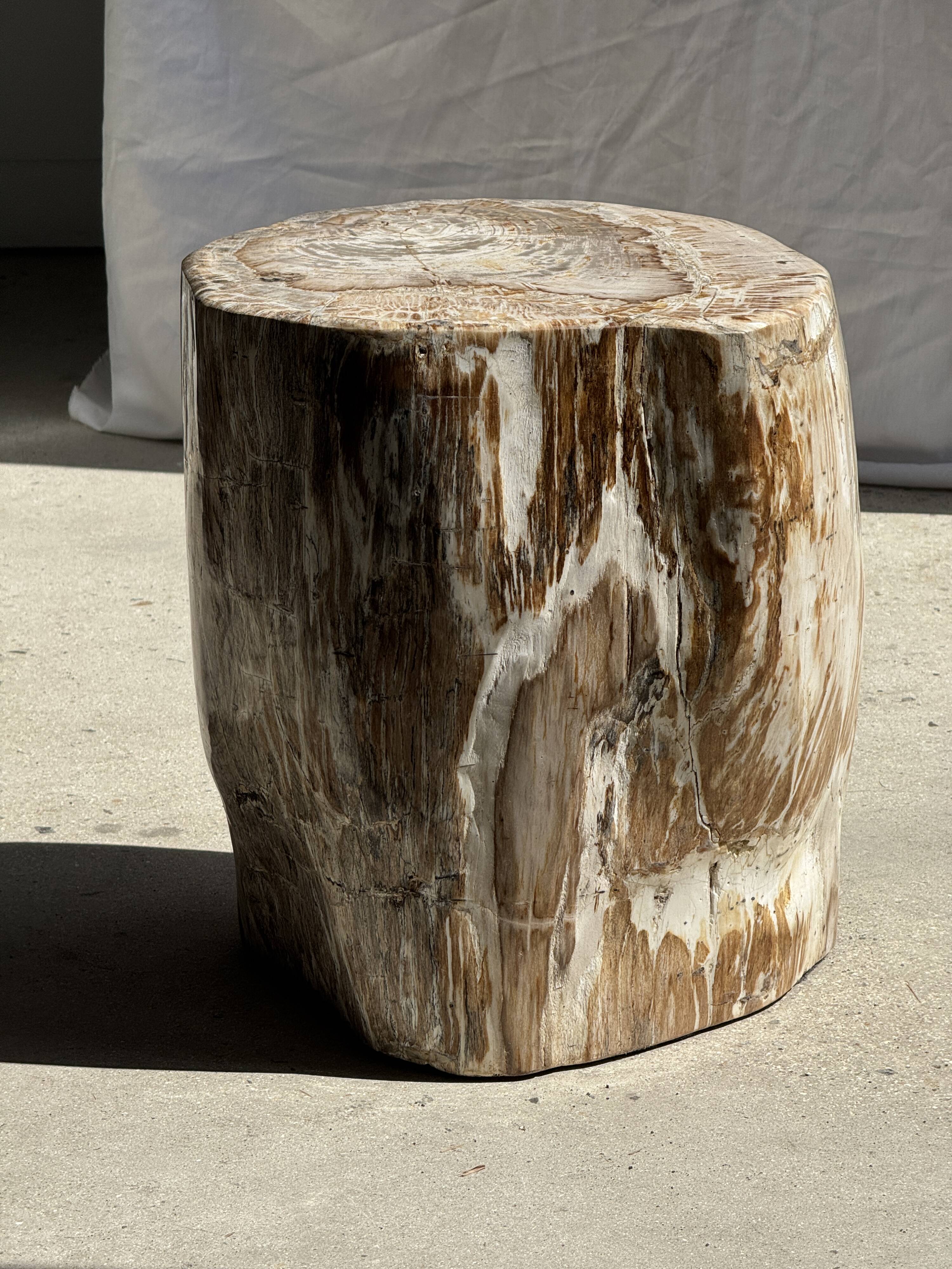 Very large white and grey petrified wood side table H45 D39 - 334