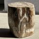 Very large white and grey petrified wood side table H45 D39 - 334