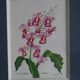 3 botanical illustrations flowers Claude vinçon