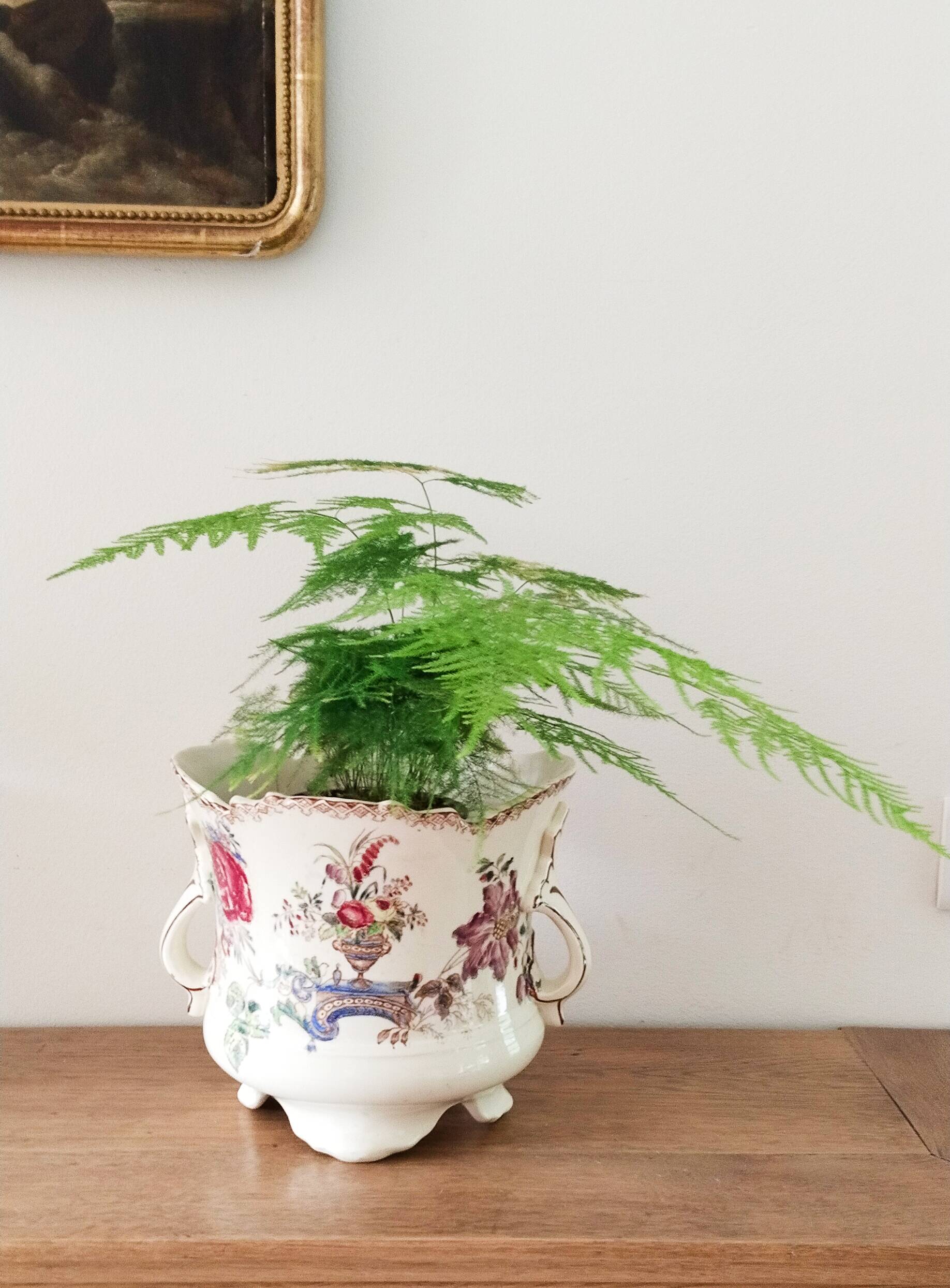 Flowerpot or planter, bowl, earthenware centerpiece