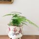 Flowerpot or planter, bowl, earthenware centerpiece