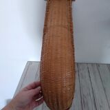 Chistera osier