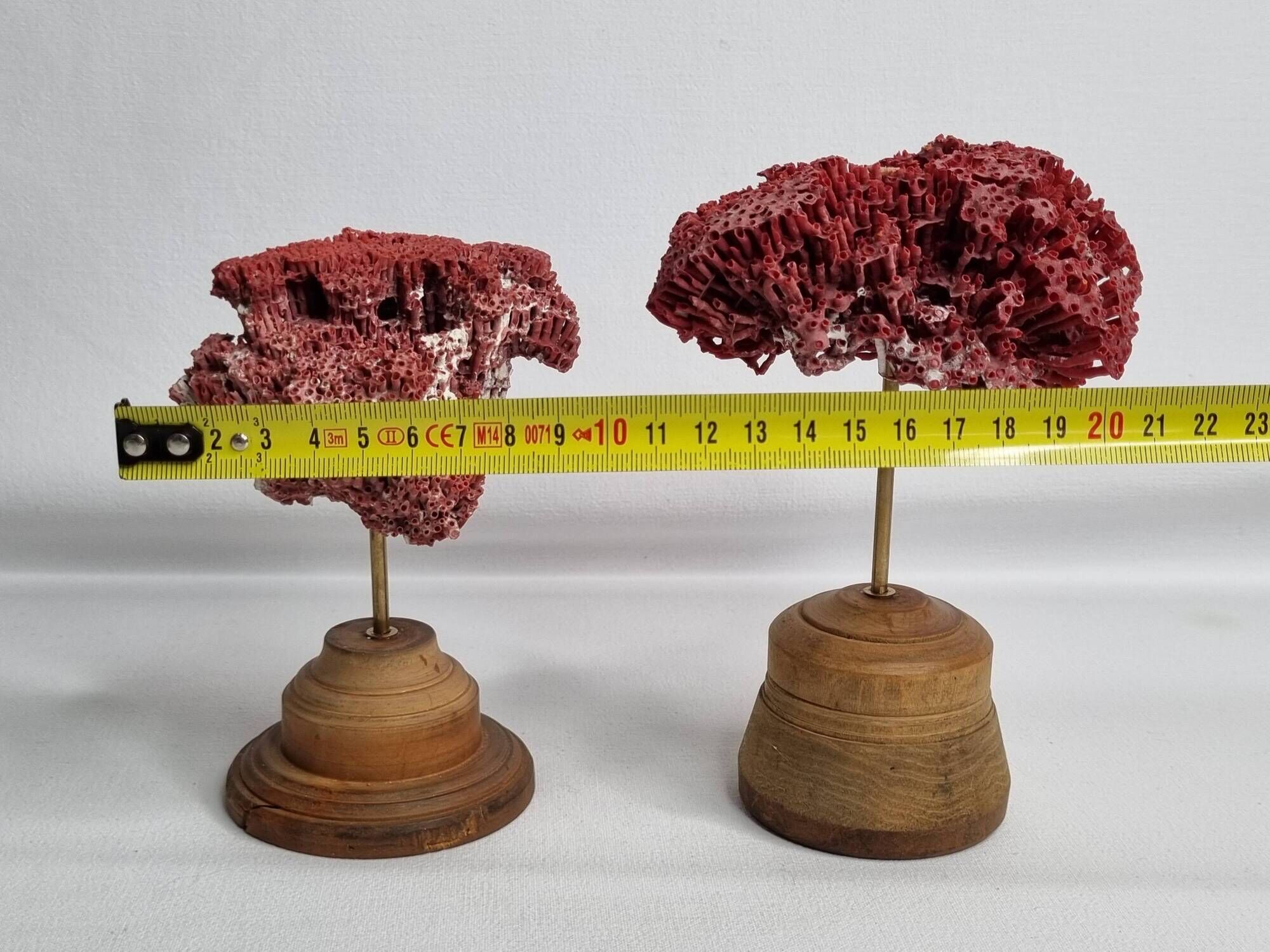 Pair of antique Tubipora musica ornamental corals on base, 17 cm