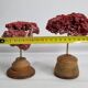 Pair of antique Tubipora musica ornamental corals on base, 17 cm