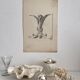 Old academic drawing ornament classical architecture late 19th century