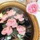 Cadre ovale verre bombé roses