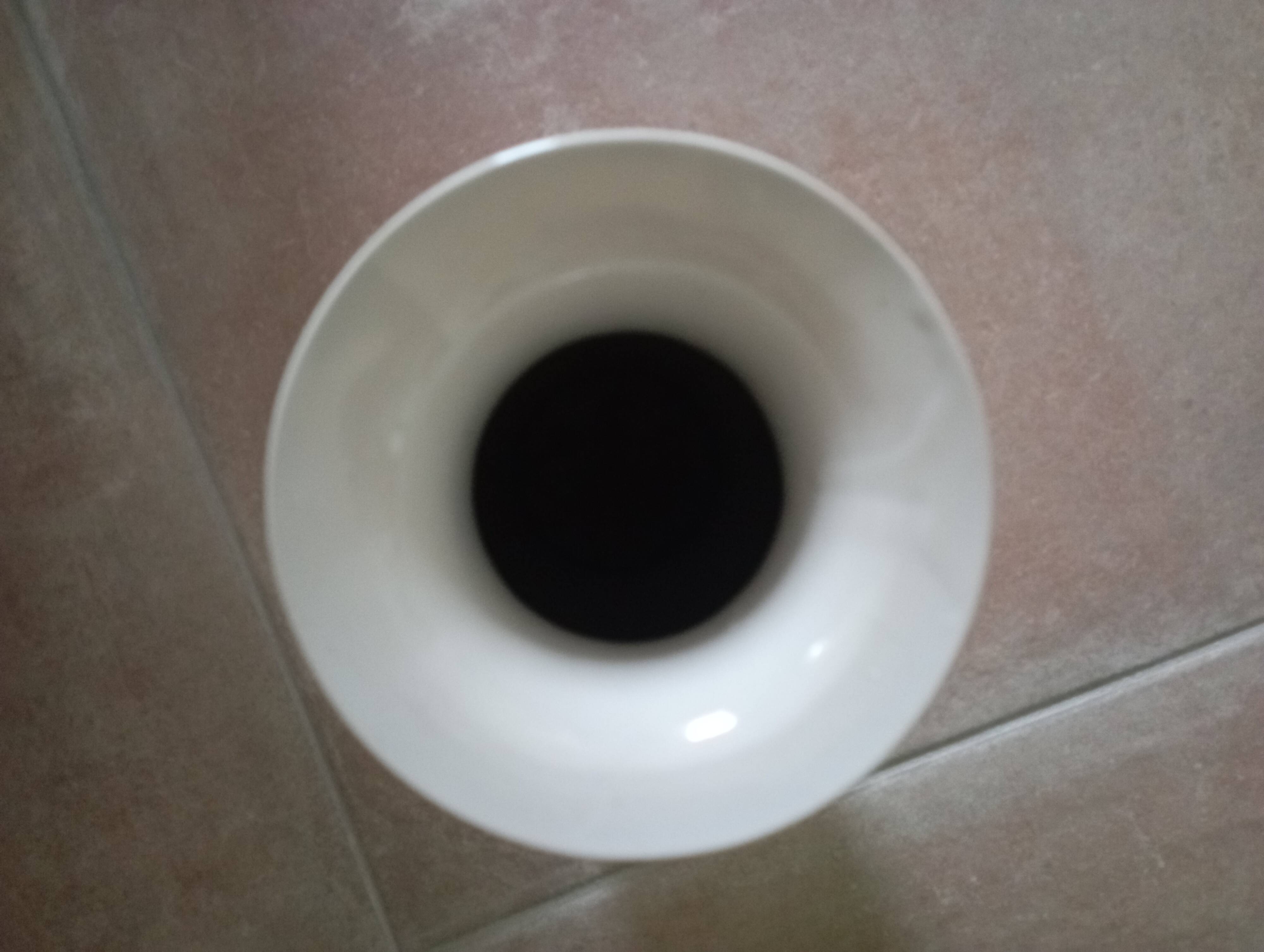 Chinese porcelain vase