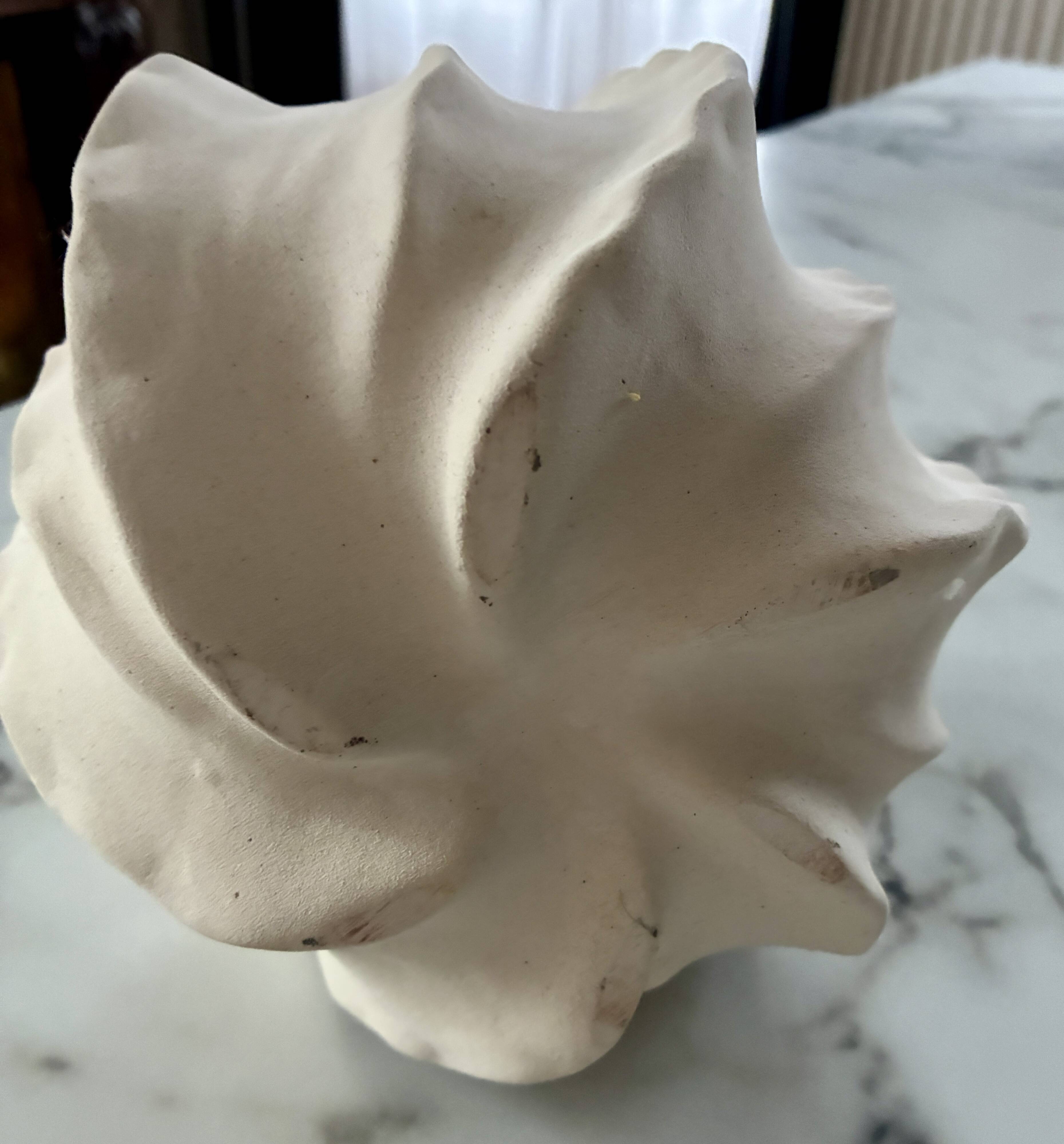 Vase in an organic shape