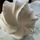 Vase in an organic shape