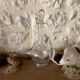 "Drop" shaped glass carafe