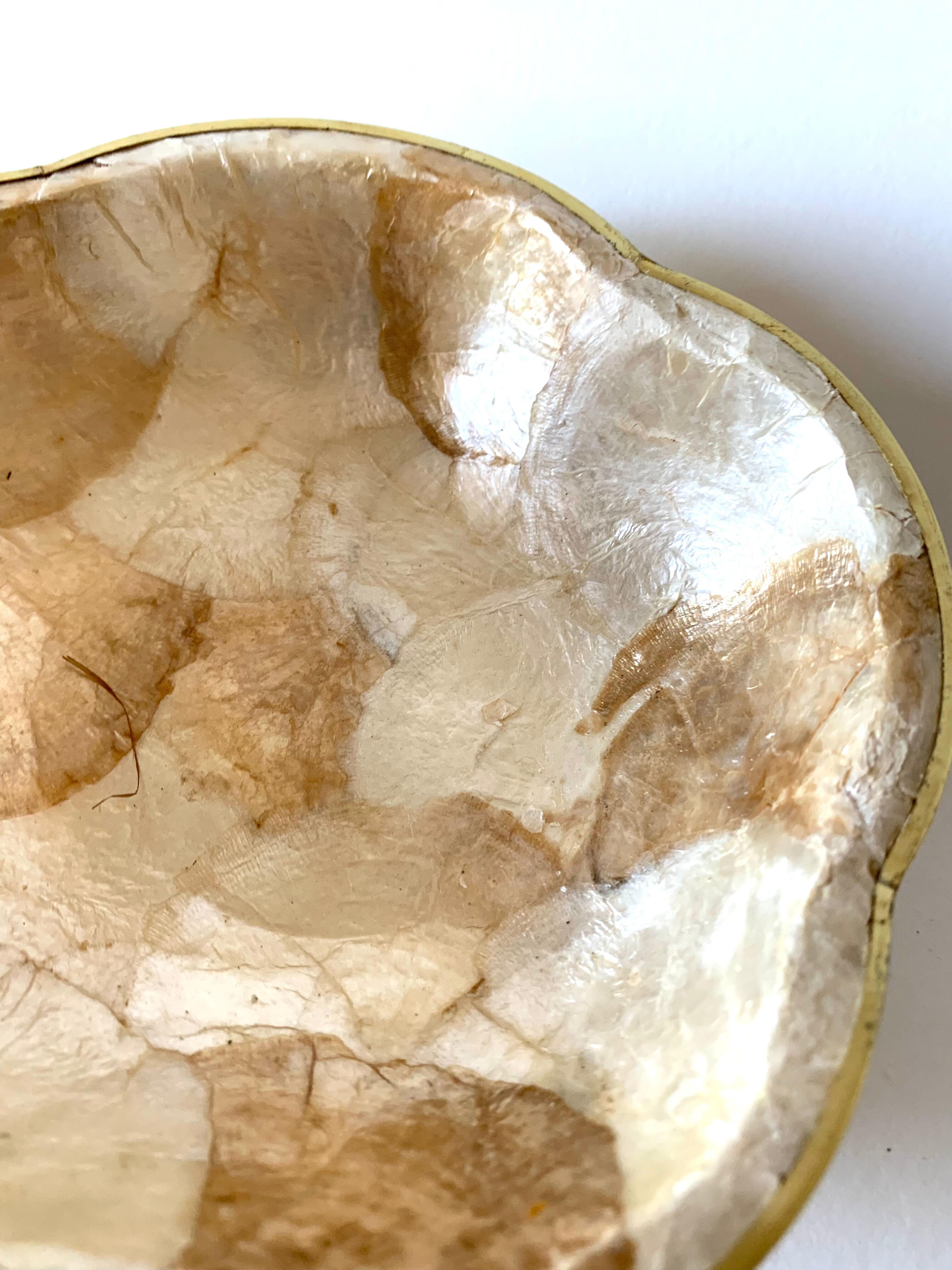 Small empty mother-of-pearl pocket