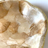 Small empty mother-of-pearl pocket