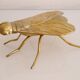 Empty vintage pocket in the shape of a brass insect