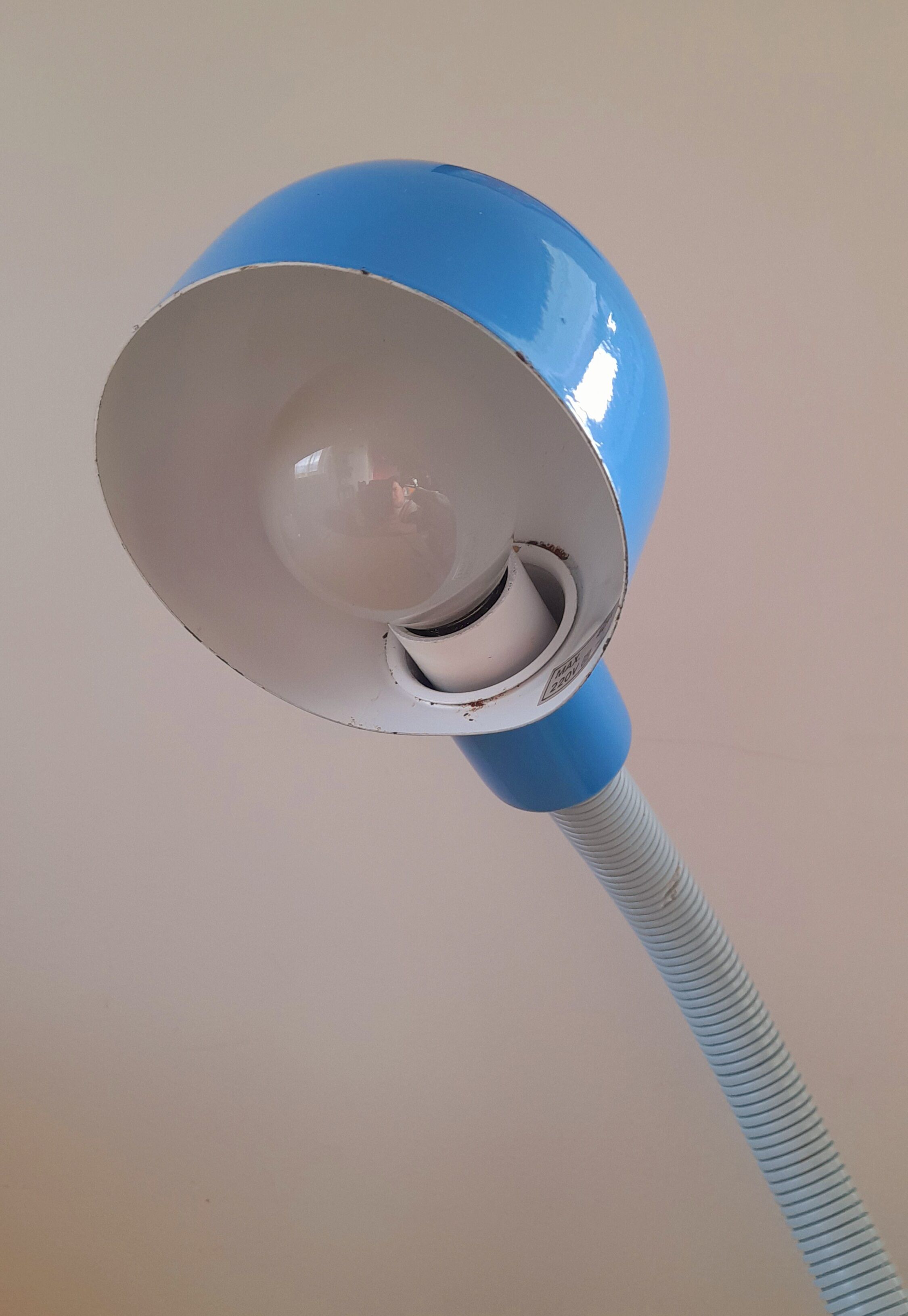Blue snake lamp