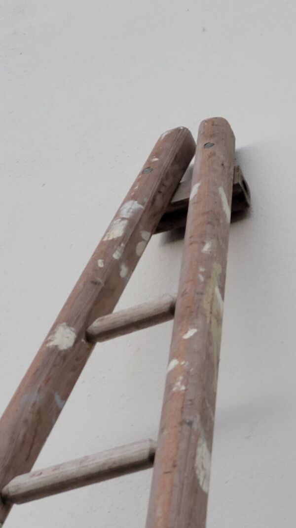 Échelle de maraîcher récolte fruitière en bois ancien -3m65