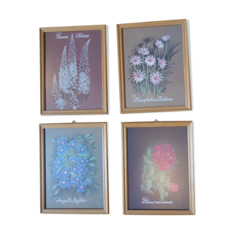 Lot 4 botanical frames 70