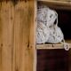 Factory locker cabinet, wood and green