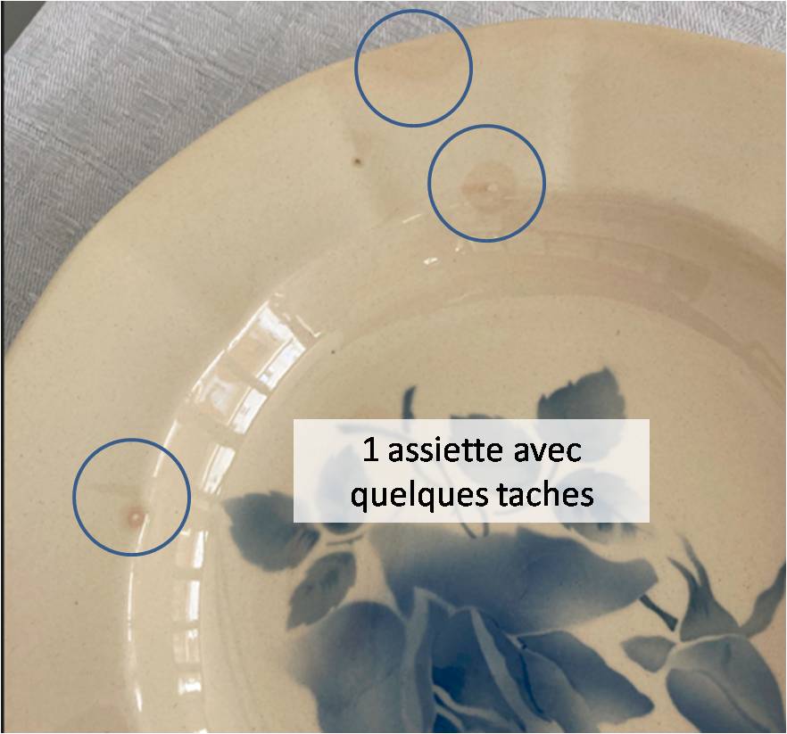 Set of 9 hollow plates Blue Roses Digoin Sarreguemines