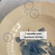 Set of 9 hollow plates Blue Roses Digoin Sarreguemines