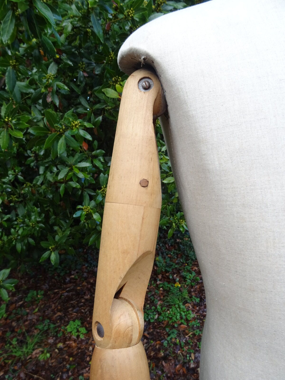 Siegel articulated mannequin