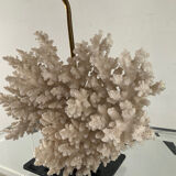 Hollywood Regency coral lamp from the 70s