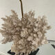 Lampe corail Hollywood Regency des années 70