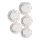 Iron earth dessert plates