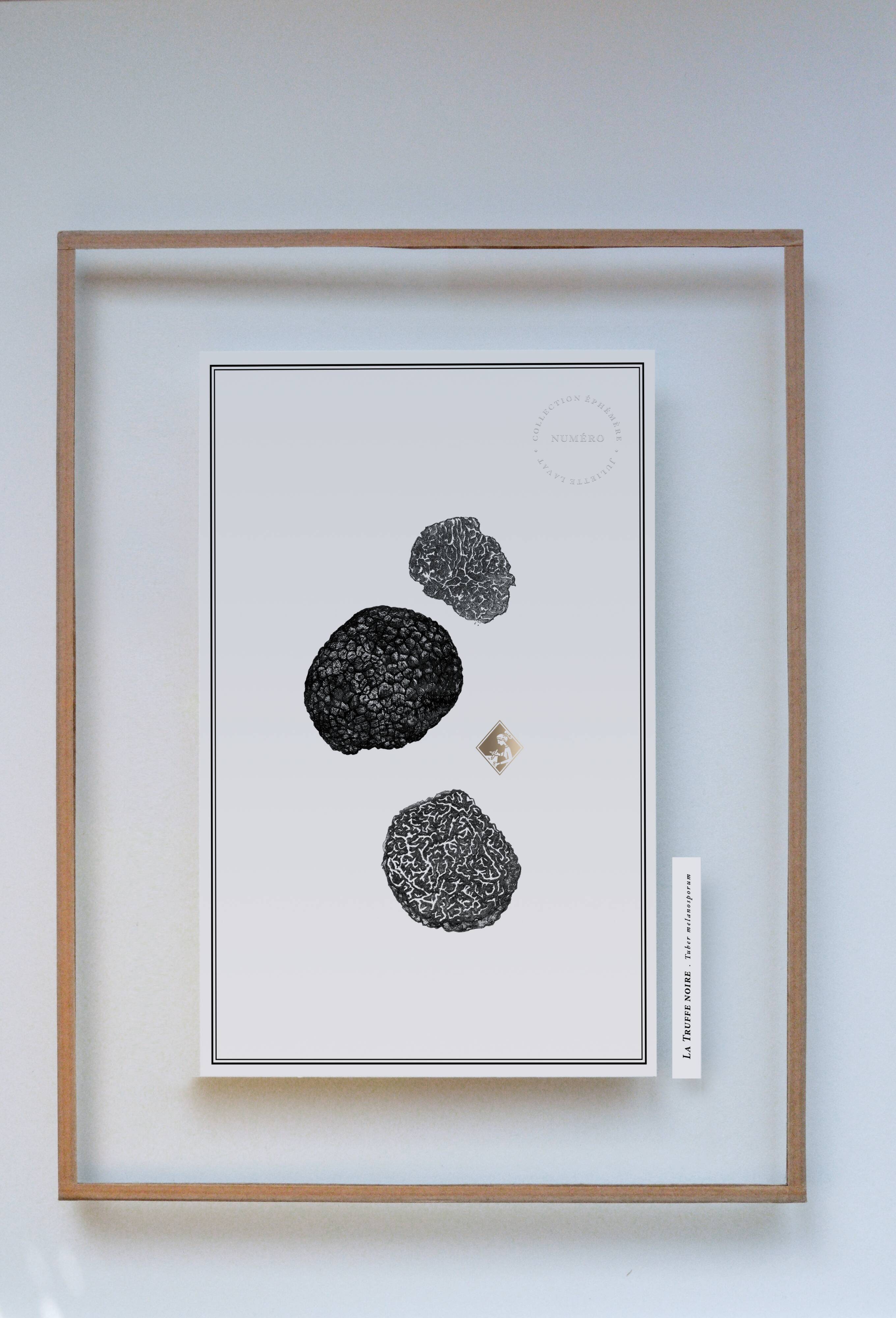 Painting "Black Truffle" - Illustration