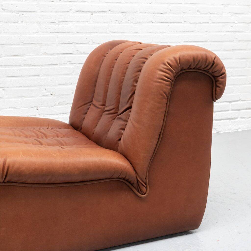 Fauteuil De Sede DS-85
