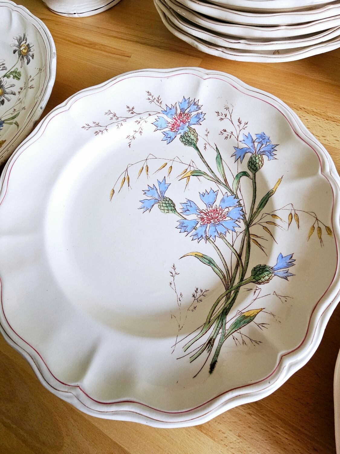 Lot plates, compotier, dish longchamp daisies iron earth