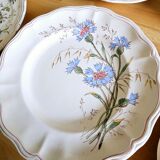 Lot plates, compotier, dish longchamp daisies iron earth