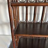 Rattan shelf / bookcase with cabinet